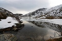 DSC_0057 (2)