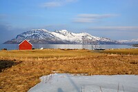 DSC_0108 (2)