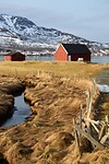 DSC_0113 (2)