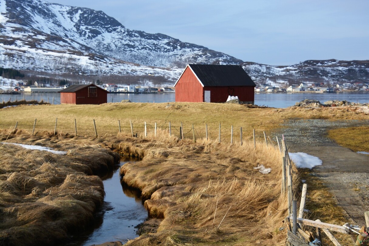 DSC_0114 (2)