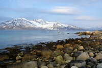 DSC_0116 (3)