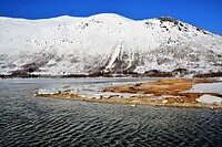 DSC_0195 (2)