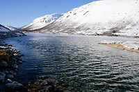 DSC_0196 (2)