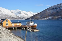 DSC_0203 (2)