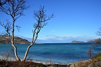 DSC_0225 (2)