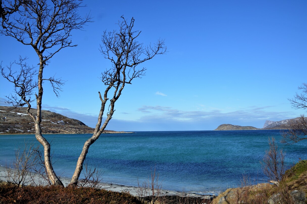 DSC_0225 (2)