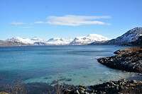 DSC_0241 (2)