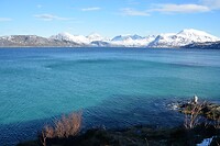 DSC_0244 (2)