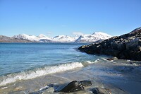 DSC_0250 (2)