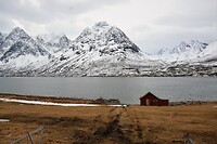 DSC_0308 (2)