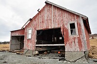 DSC_0312 (2)