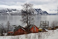 DSC_0326 (2)