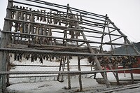 DSC_0348 (2)