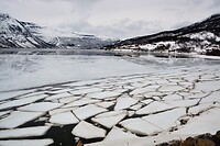 DSC_0360 (2)