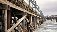 DSC_0407 (3)