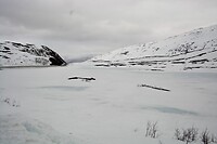 DSC_0413 (2)