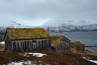 DSC_0433 (2)