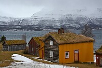 DSC_0437 (2)