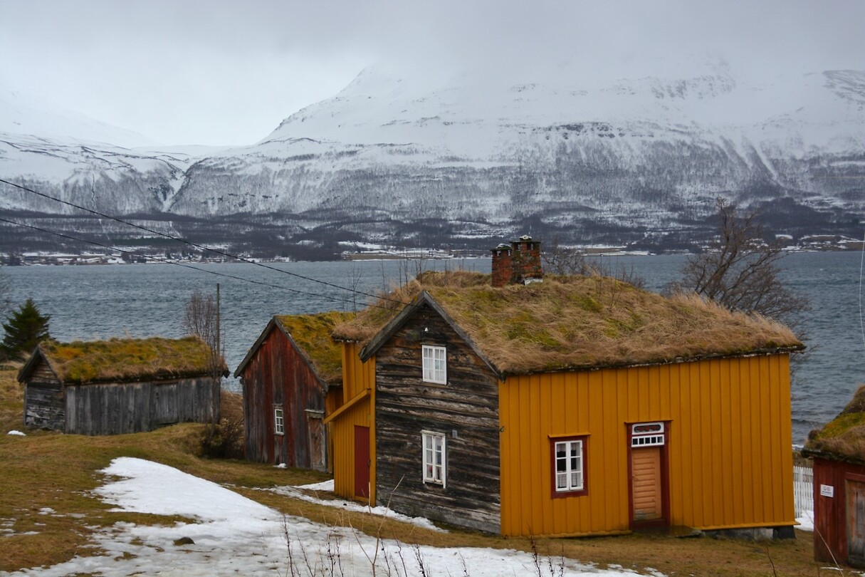 DSC_0437 (2)
