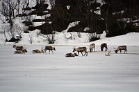 DSC_0450 (2)