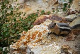 Onderweg van Cody naar Yellowstone
