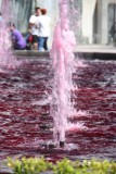 nog meer roze fonteinen