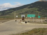 gaucho met honden
