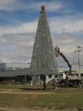 ingewikkeld, zo'n kerstboom