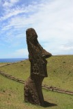 moai