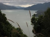 Pelorus sound bij Havelock