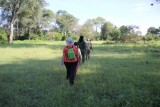 wandelsafari