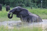 even schrikken, zo'n beest net naast je boot