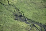 vanuit de lucht lijken ze zooo klein