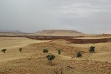 landschap