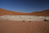 Versteend landschap