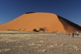 dune 45