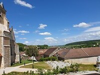 de Druiven van de Chablis wijnen
