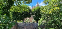 Haamstede
