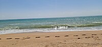 Strand Pineda de Mar
