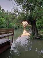 Prachtige natuur