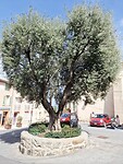 Ramatuelle