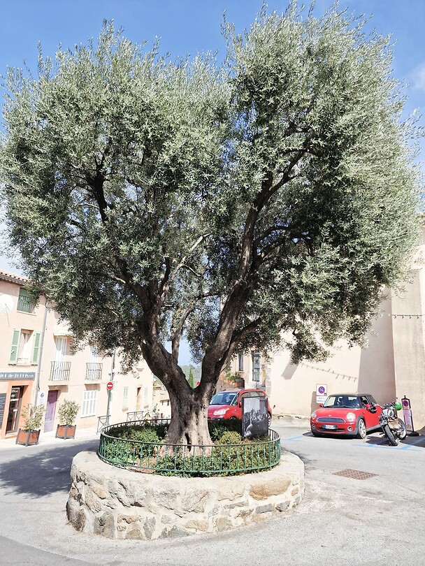 Ramatuelle