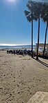 Estepona