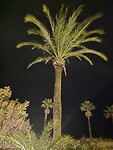 IMG-20260116-WA0012