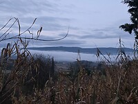 IMG-20260121-WA0028