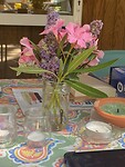 IMG_8251