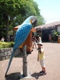 Loris in de dierentuin in Rio