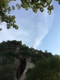 IMG_1074