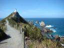 DSC04225