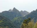 Franz joseph Glacier